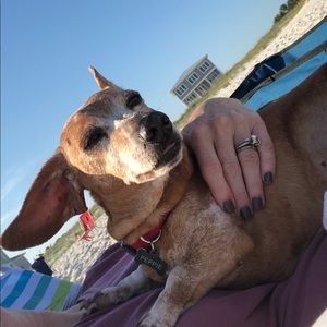 Meet your Posher, Heather